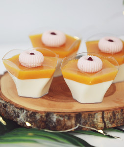 Panna Cotta desertai mango-pasiflorų/trop.vaisių indeliuose