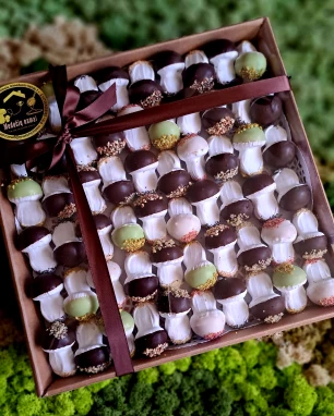 Meduolinių grybukų rinkinys RIEŠUTAS