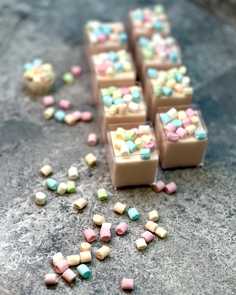 BUBBLE GUM skonio MINI panakota