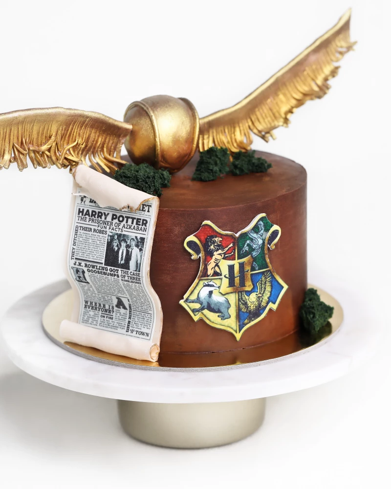 Tortas HARRY POTTER