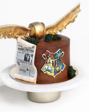 Tortas HARRY POTTER