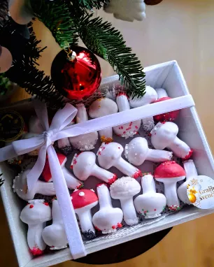 Meduolinių grybukų rinkinys ŽIEMA