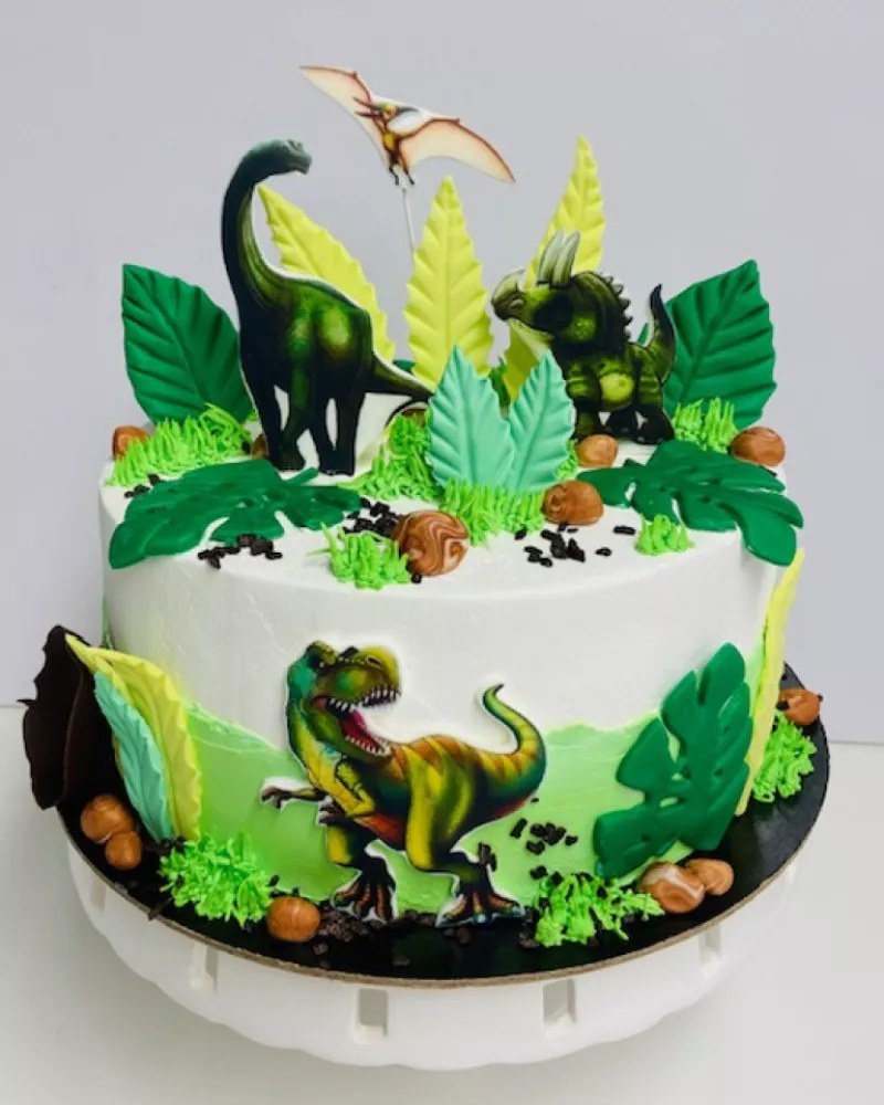 Gimtadienio tortas "Dinozaurai"