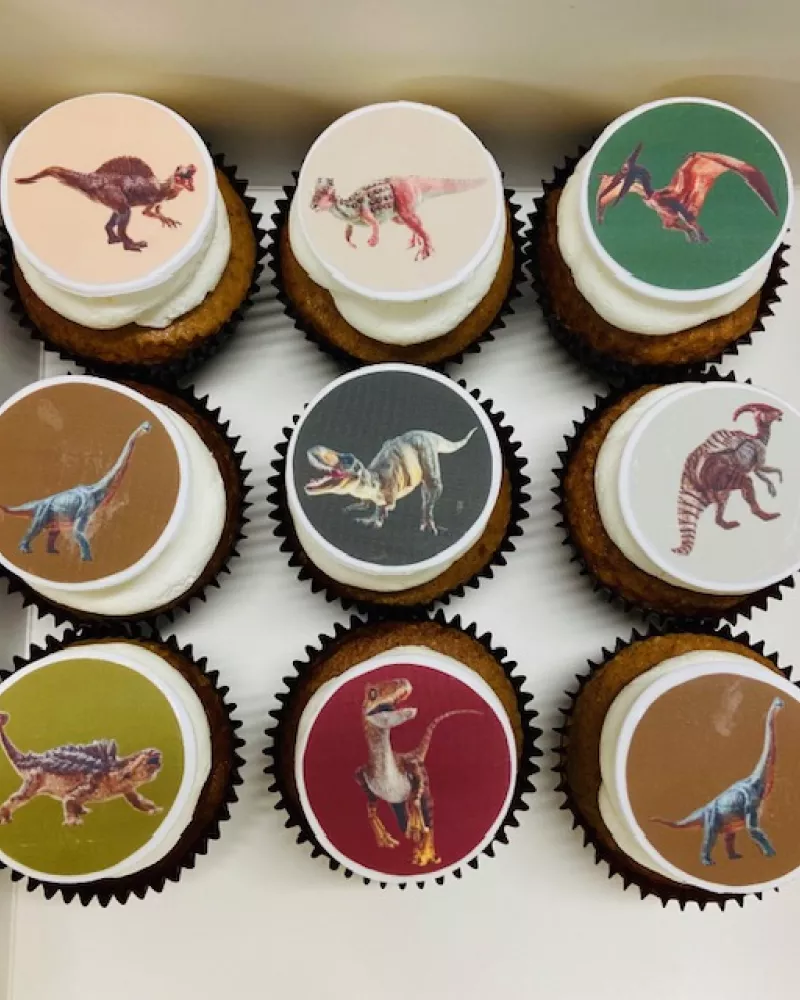 Gimtadienio tortas "Dinozaurai"