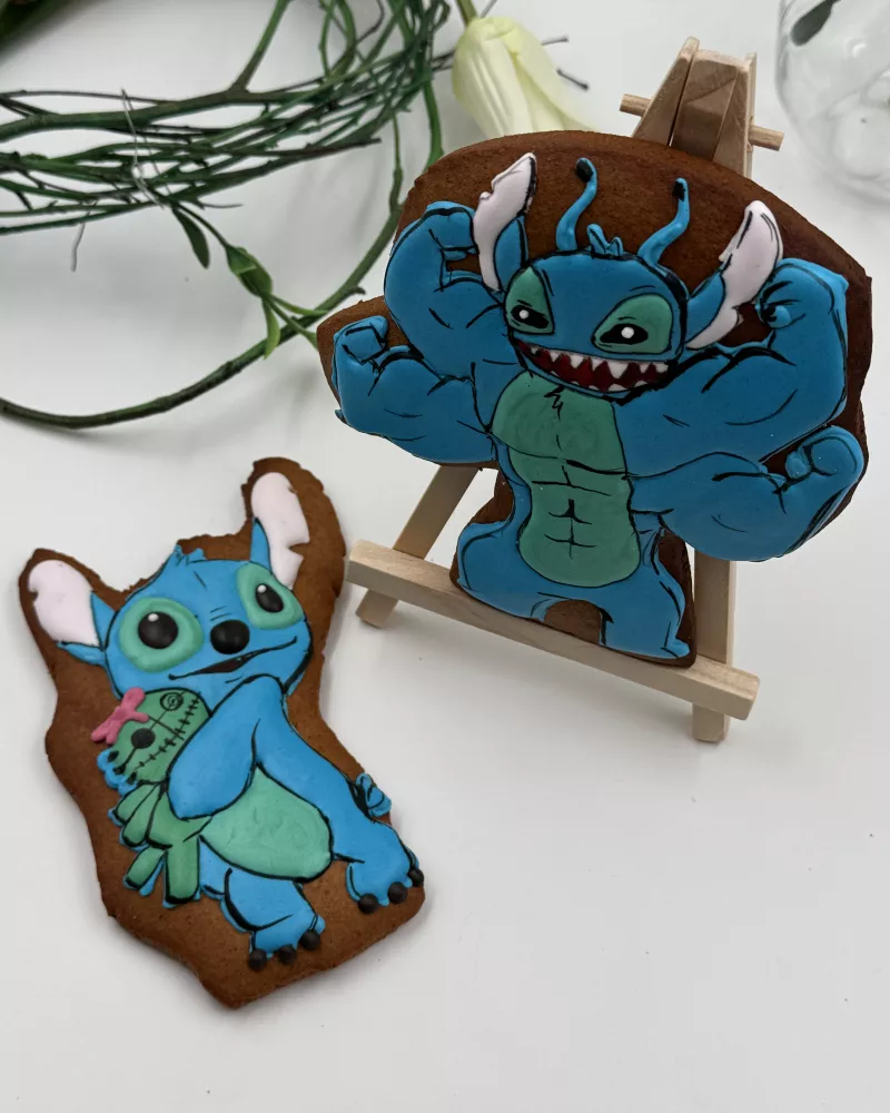 Meduolis STITCHAS