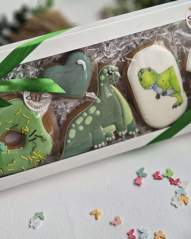 Vaikiškas rinkinys "Dino"