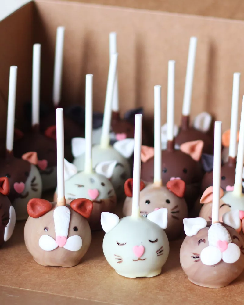 Cake popsai KATYTĖS