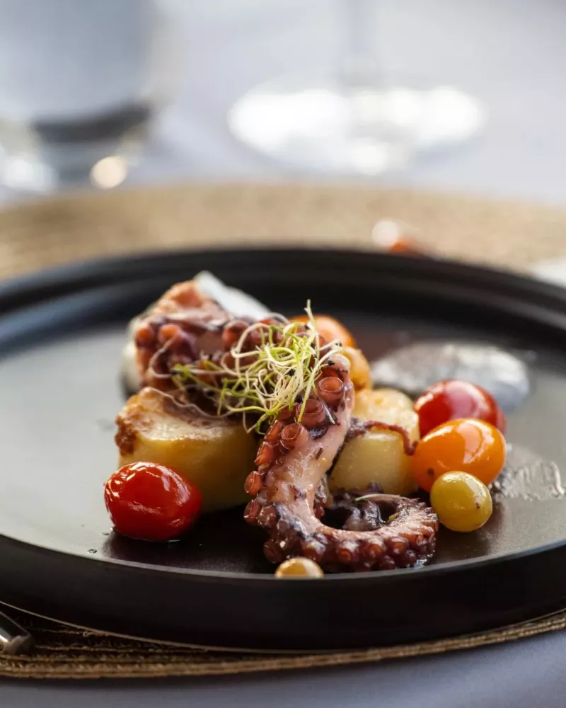 Cloud Kitchen catering - Aukščiausios klasės maisto autobusas