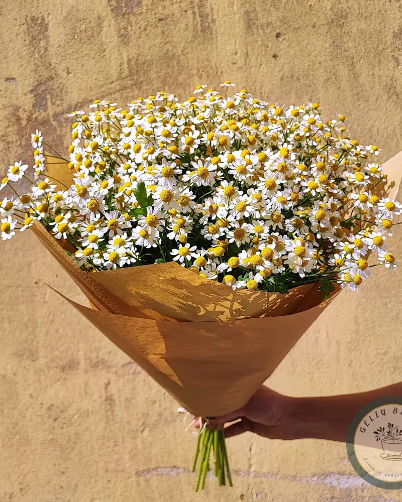 Puokštė "Ramunėlės"