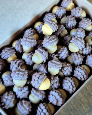 Individualus užsakymas "Meduolinės gilės"