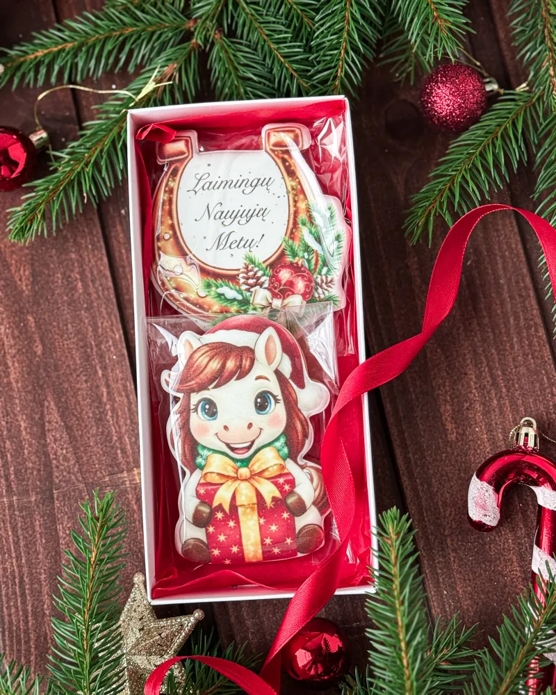 Dekoruotų meduolių rinkinys su 2026metų simboliu