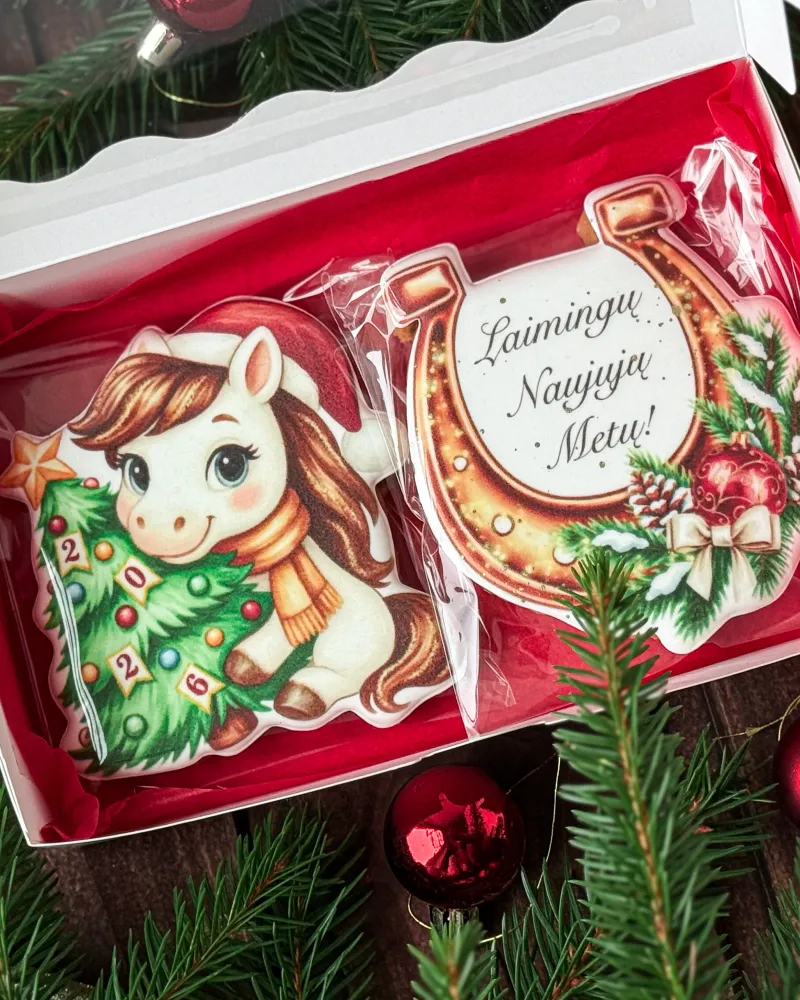 Dekoruotų meduolių rinkinys su 2026metų simboliu