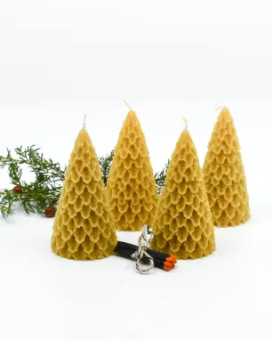 Advento žvakių rinkinys "Eglutės"