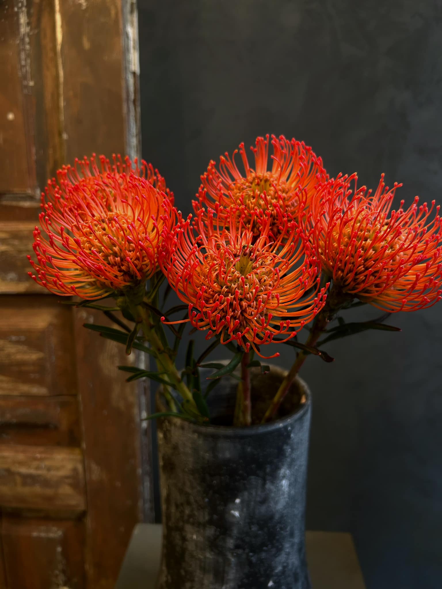 Dekoras ir floristas