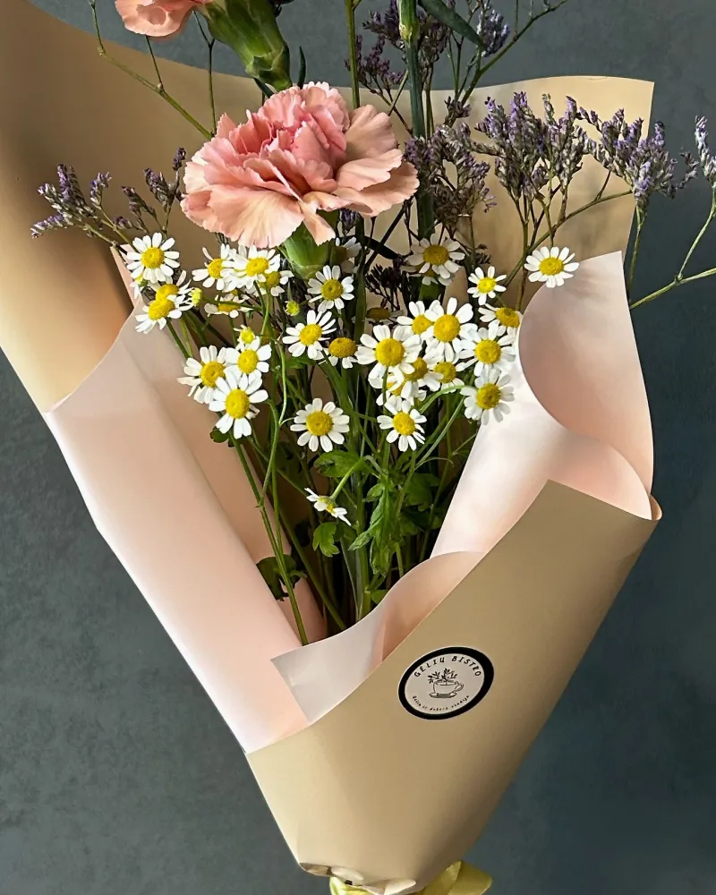 Puokštė "Gvazdikai"