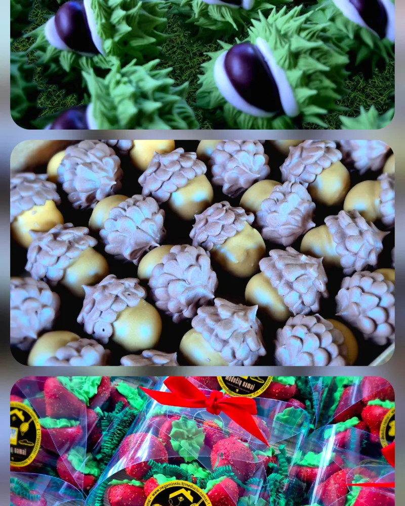 Saldumynų rinkinys "Braškės+Gilės+Kaštonai"