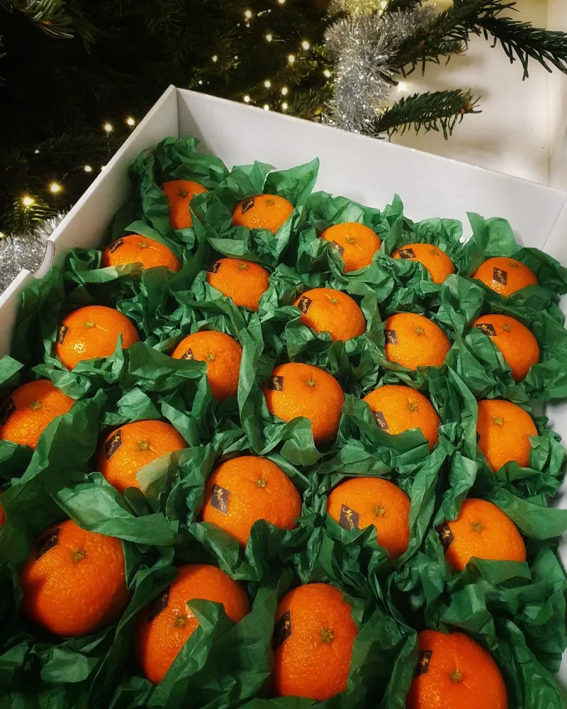 Šokoladinis NEmandarinas