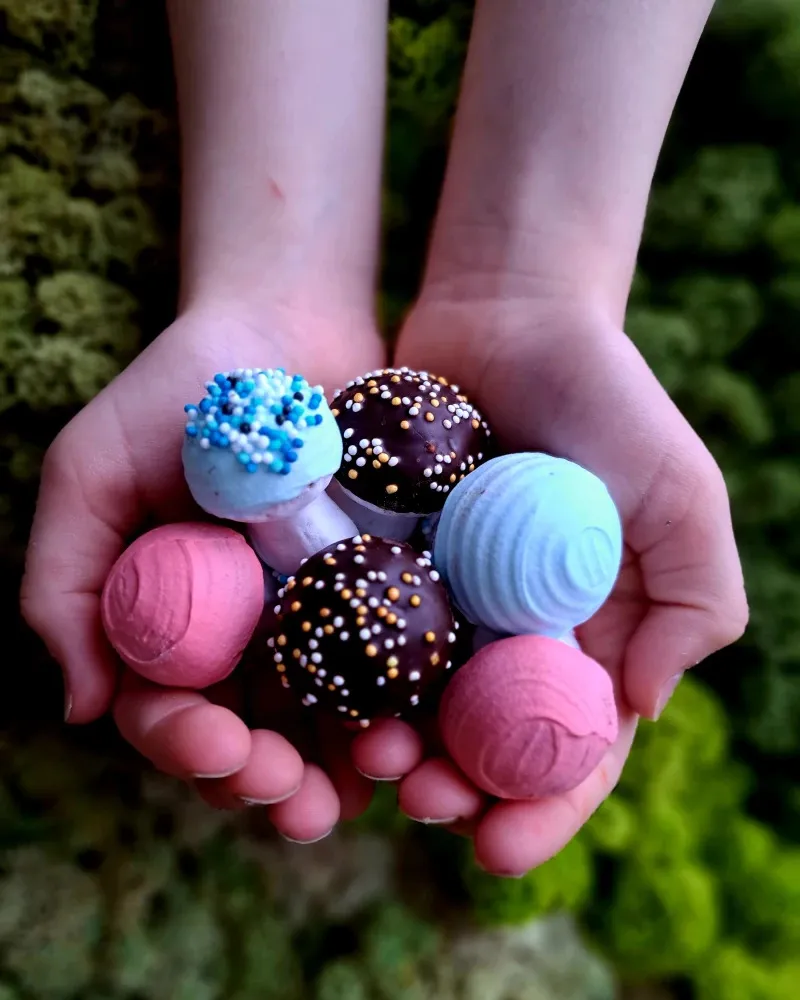 Individualus užsakymas "Turkio spalvos grybukai"