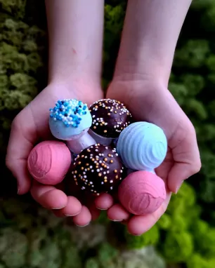 Individualus užsakymas "Turkio spalvos grybukai"