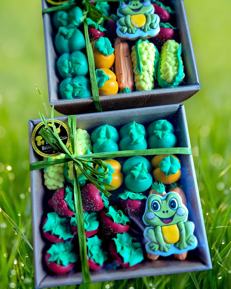 Meduolinių saldėsių rinkinys DARŽAS IR SODAS