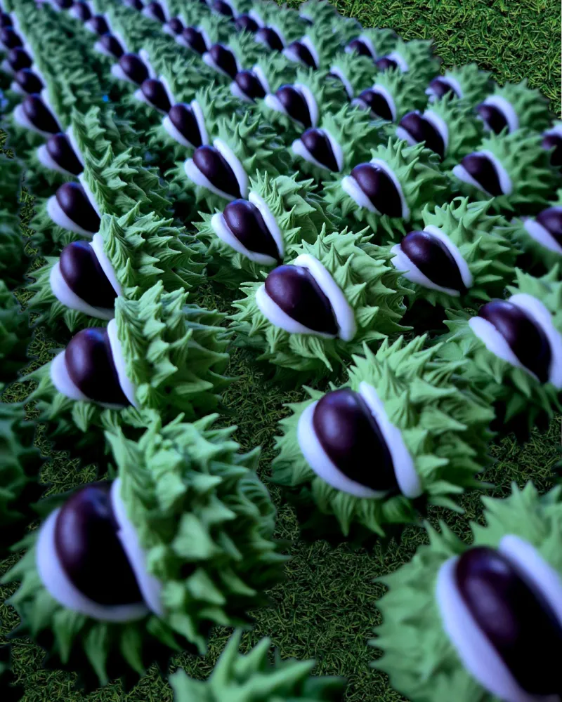 Meduoliniai KAŠTONAI