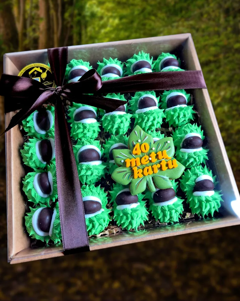 Meduoliniai KAŠTONAI