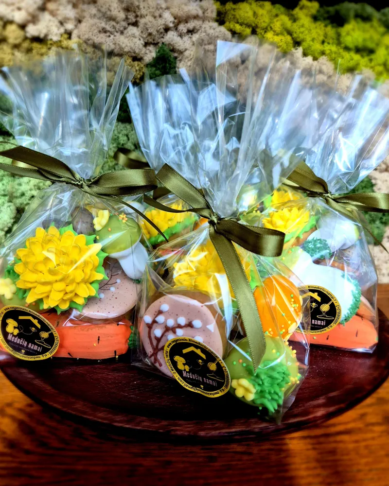 MINI meduolinė dovanėlė maišelyje VELYKIS