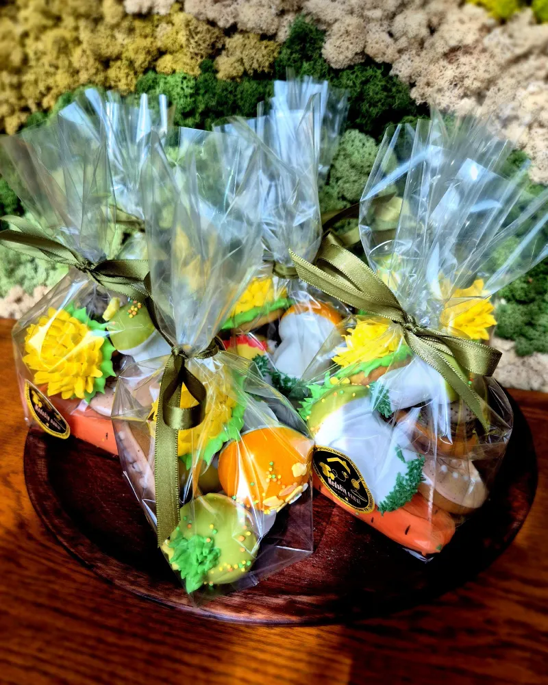 MINI meduolinė dovanėlė maišelyje VELYKIS