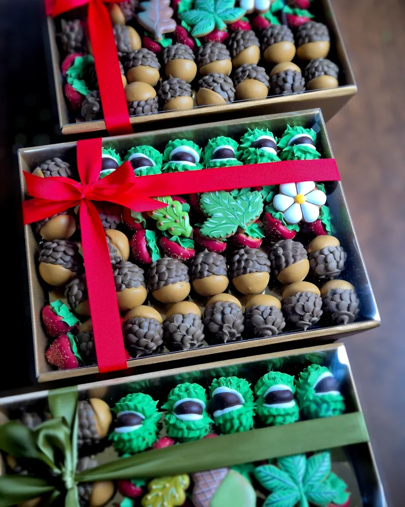 Meduolinių saldėsių rinkinys BRAŠKĖS, GILĖS, KAŠTONAI