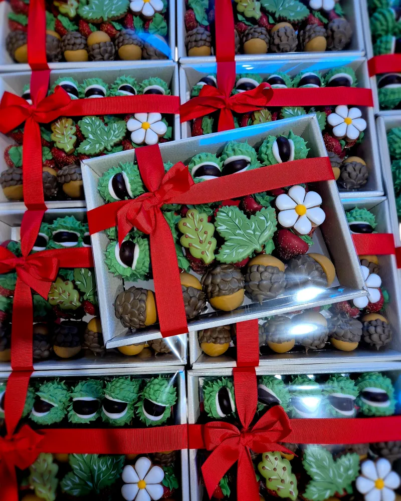 Meduolinių saldėsių rinkinys BRAŠKĖS, GILĖS, KAŠTONAI