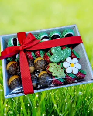 Meduolinių saldėsių rinkinys BRAŠKĖS, GILĖS, KAŠTONAI