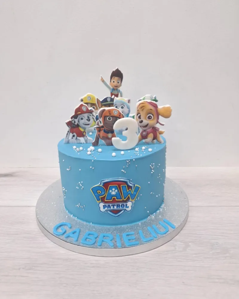 Tortas "Šunyčiai patruliai"