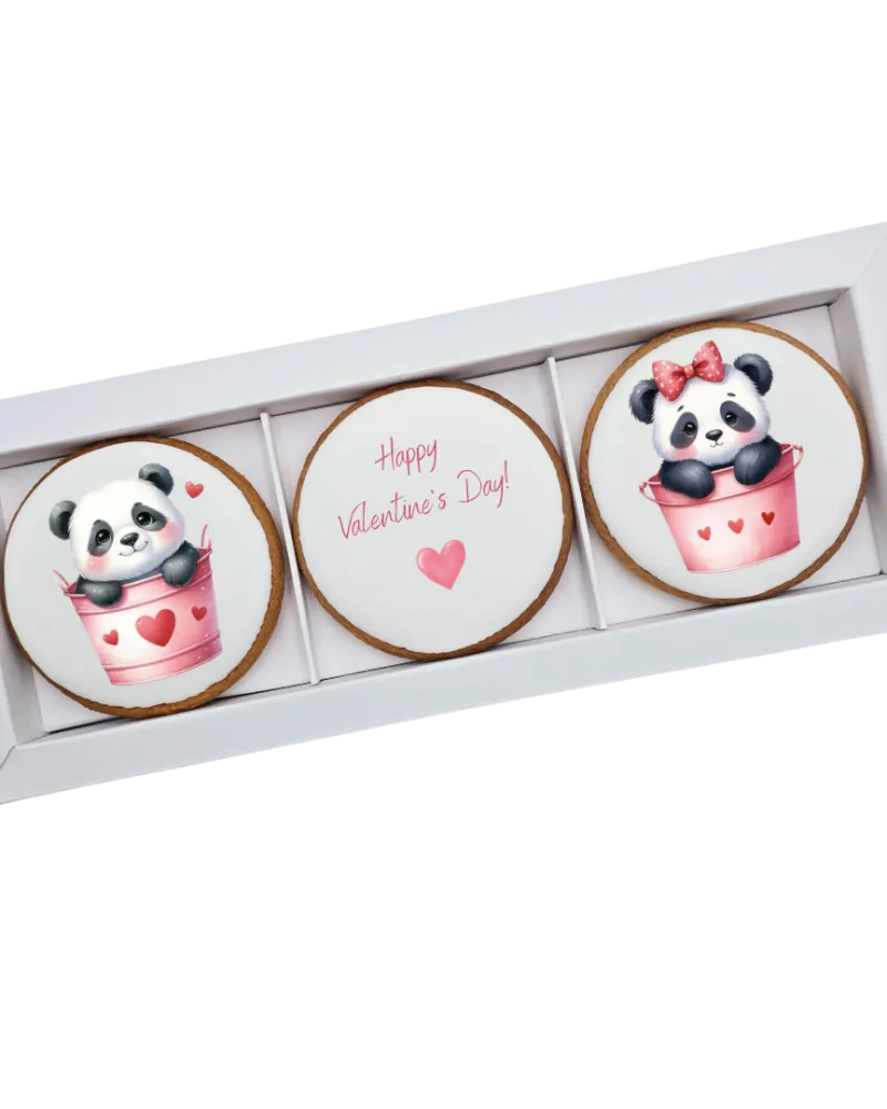 Dekoruotų meduolinių sausainių rinkinys „Valentino diena” V4, 3 vnt.