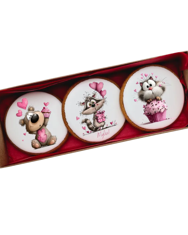 Dekoruotų meduolinių sausainių rinkinys „Valentino diena” V19, 3 vnt.