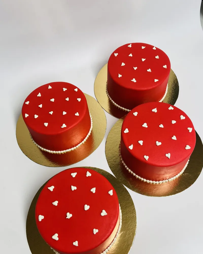 VALENTINO tortukai (nuo 700 g)