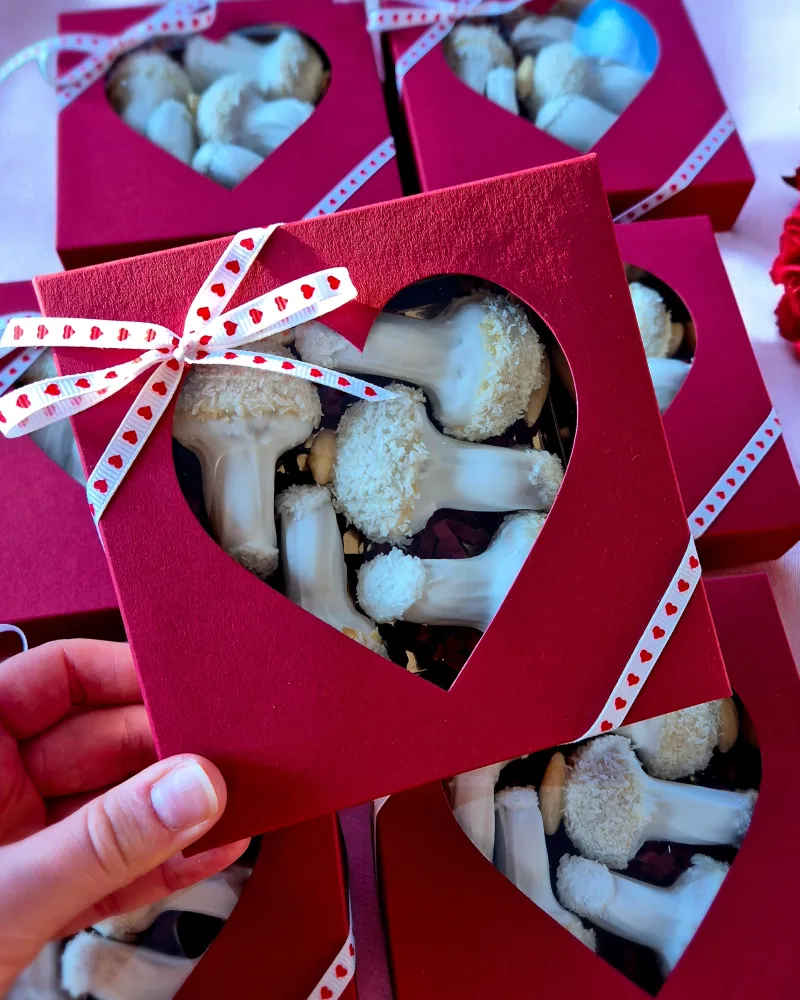 Meduoliniai grybukai RAFAELAS