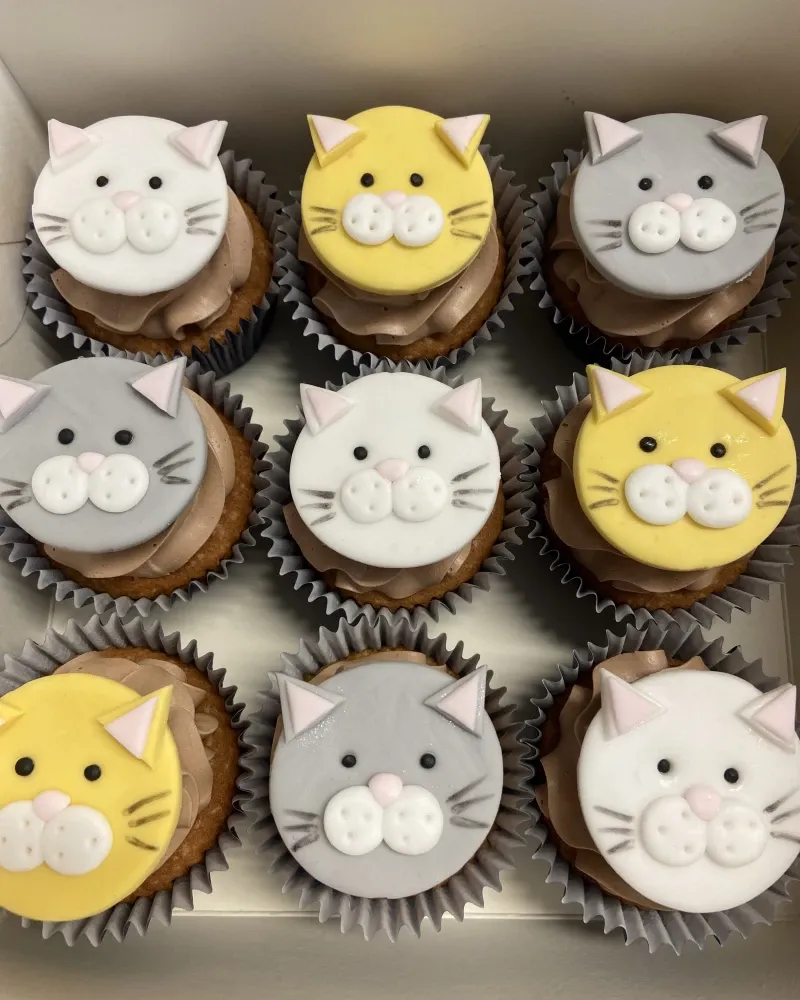 Dekoruoti keksiukai GYVŪNAI