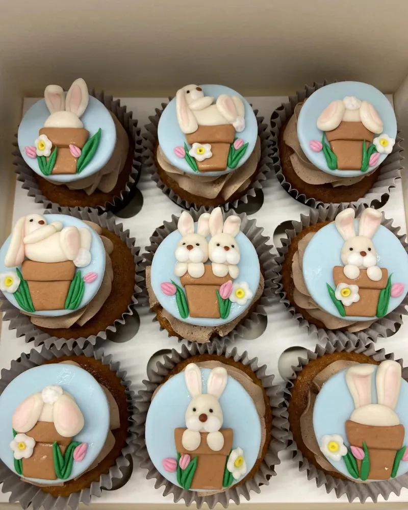 Dekoruoti keksiukai GYVŪNAI