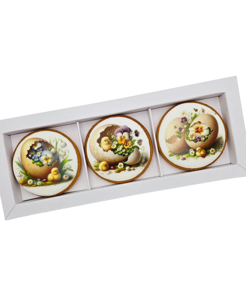 Dekoruoti meduoliniai sausainiai „Velykos 16“ 3 vnt.