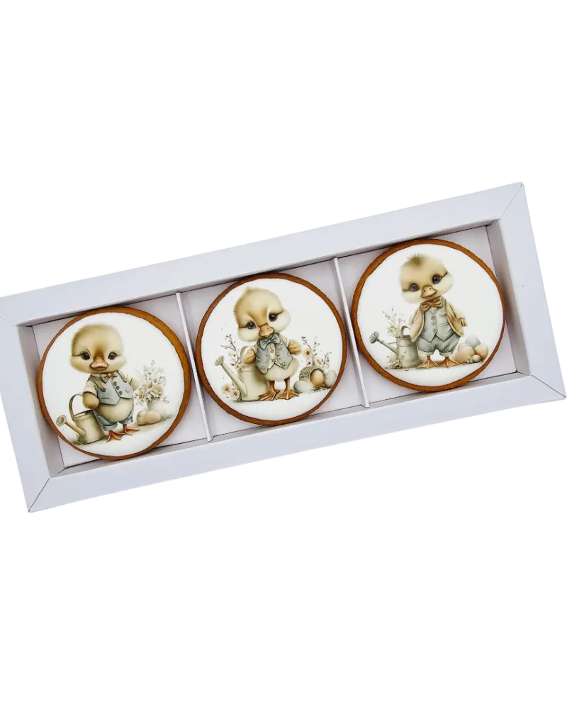 Dekoruoti meduoliniai sausainiai „Velykos 14“ 3 vnt.