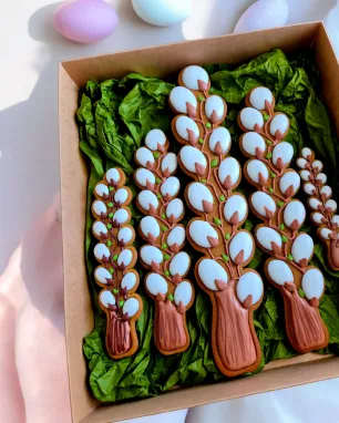 Meduolinių KAČIUKŲ šakelės