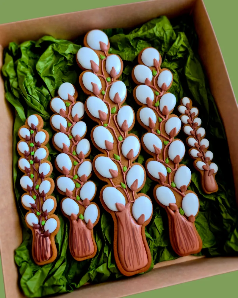 Meduolinių KAČIUKŲ šakelės