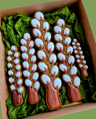 Meduolinių KAČIUKŲ šakelės