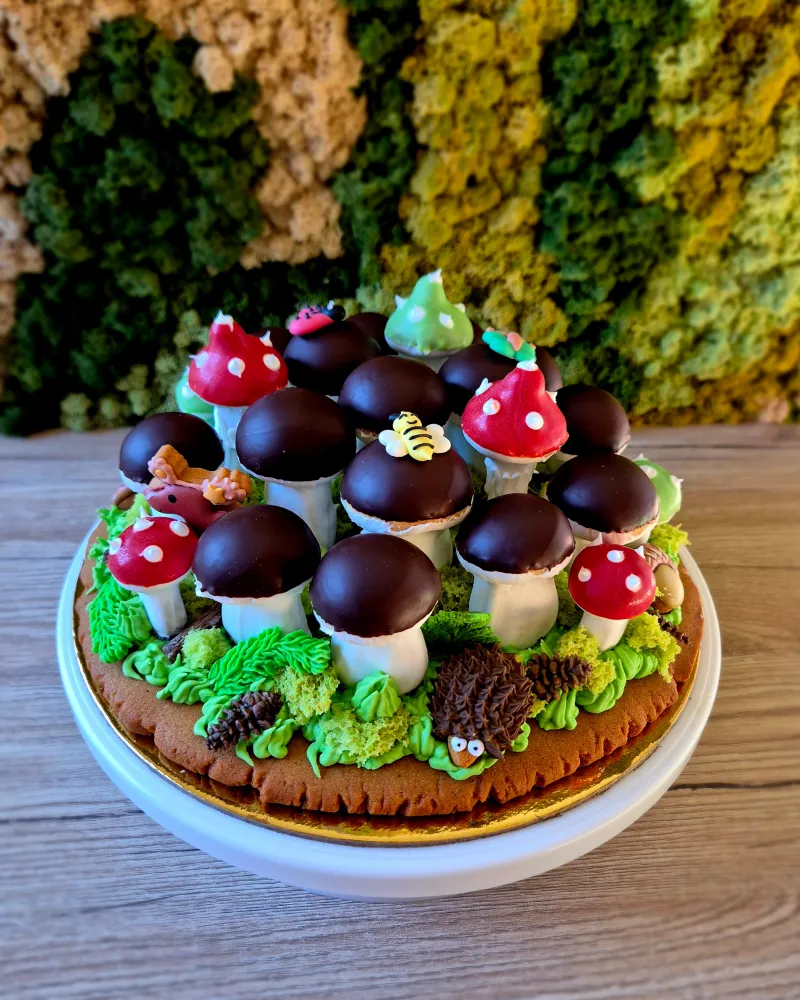 Meduolinis rinkinys GRYBŲ ŠEIMYNA