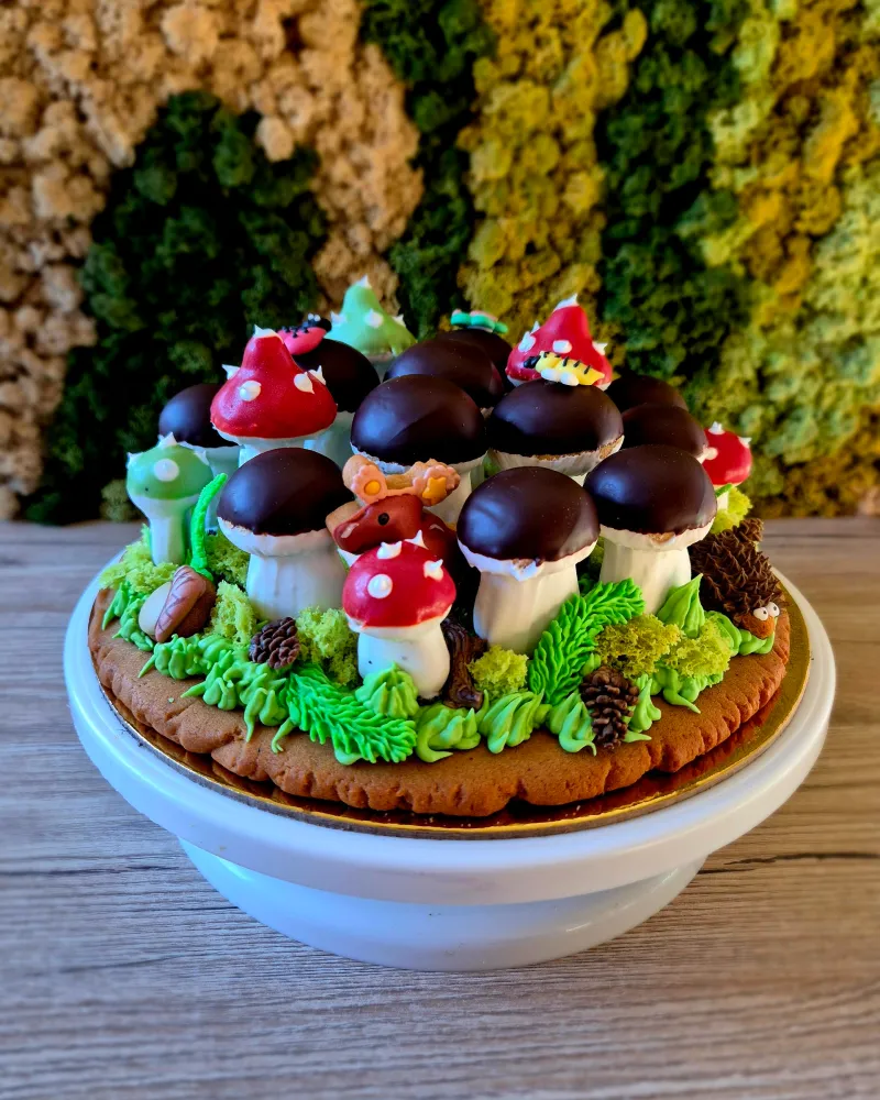 Meduolinis rinkinys GRYBŲ ŠEIMYNA