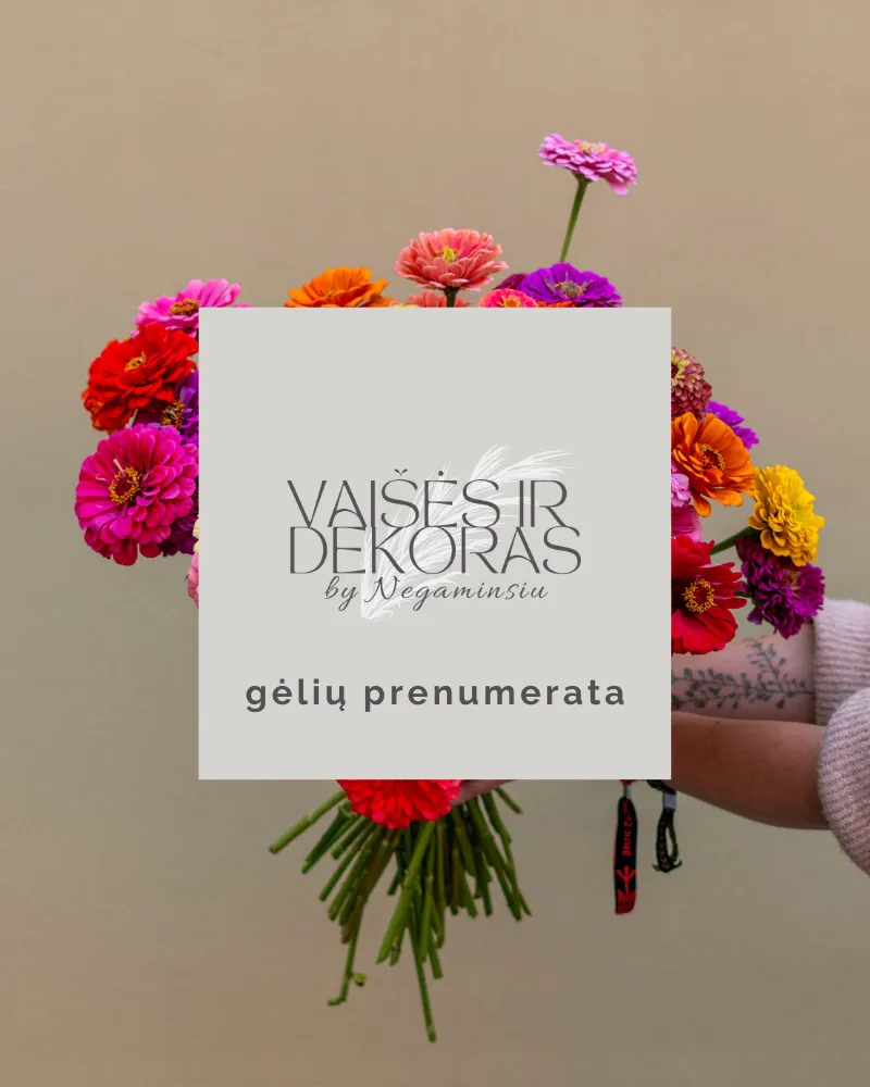 Gėlių prenumerata verslui (biurams ir ofisams)