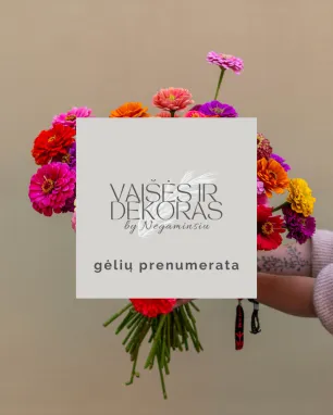 Gėlių prenumerata verslui (biurams ir ofisams)