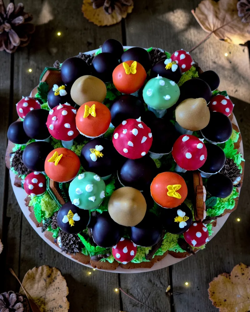 Meduolinis rinkinys GRYBŲ ŠEIMYNA