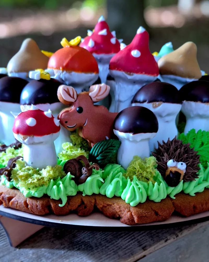 Meduolinis rinkinys GRYBŲ ŠEIMYNA