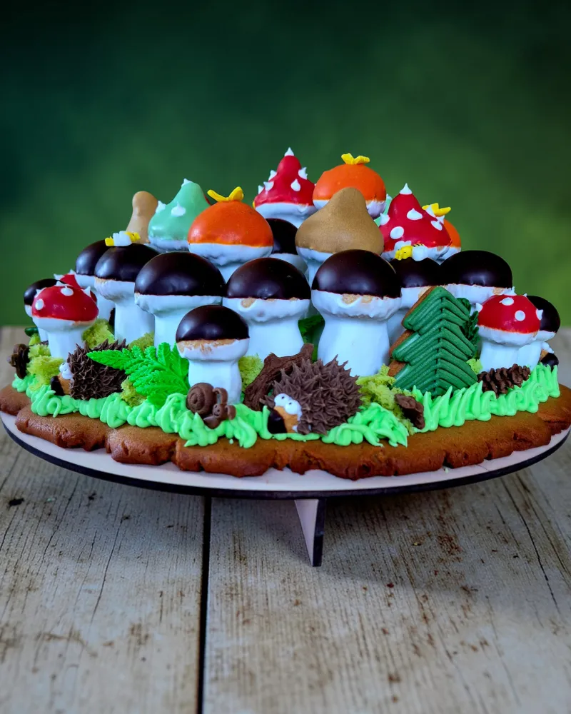 Meduolinis rinkinys GRYBŲ ŠEIMYNA